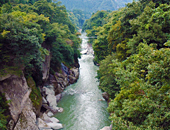 恐竜化石と白山麓巡り